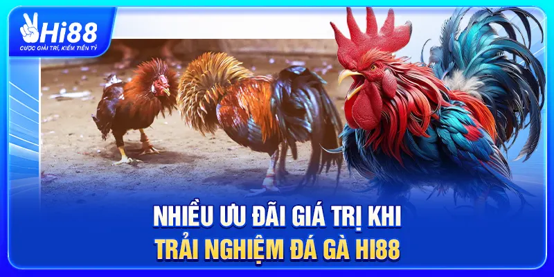 Nhiều ưu đãi giá trị khi trải nghiệm đá gà Hi88