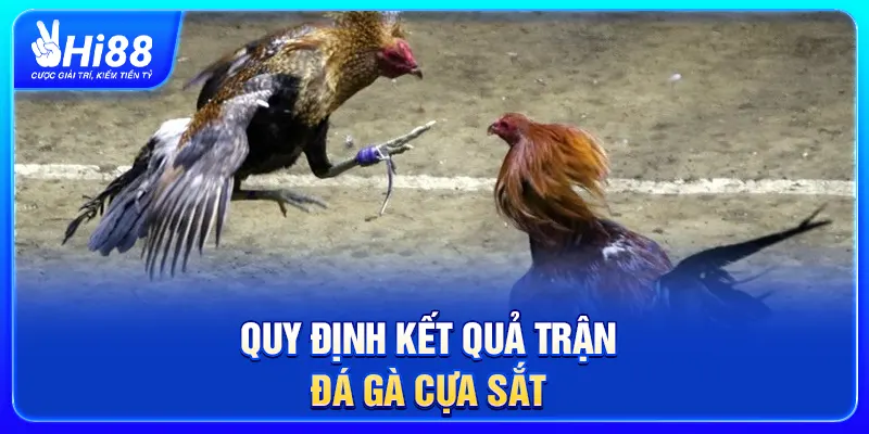 Quy định kết quả trận đá gà cựa sắt